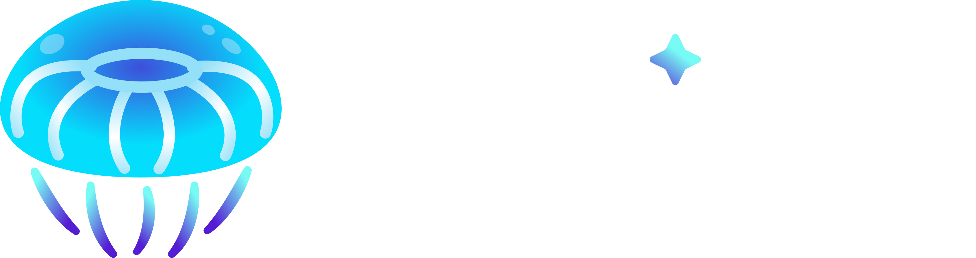 COPIN