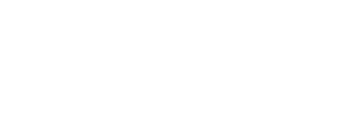 Lisk